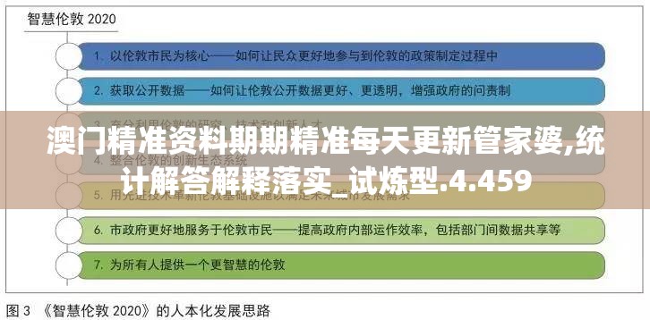 全面推广澳门管家婆100%精准，深度解析与实施策略